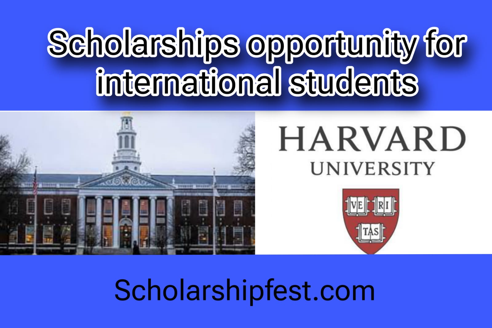 harvard university scholarships for international students