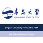Qingdao University Scholarship 2024